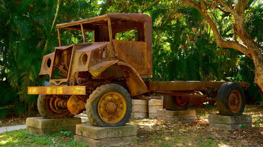 Defence Of Darwin Experience som viser monument