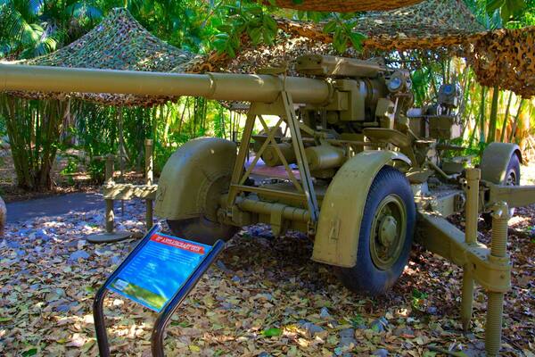 Defence Of Darwin Experience showing military items