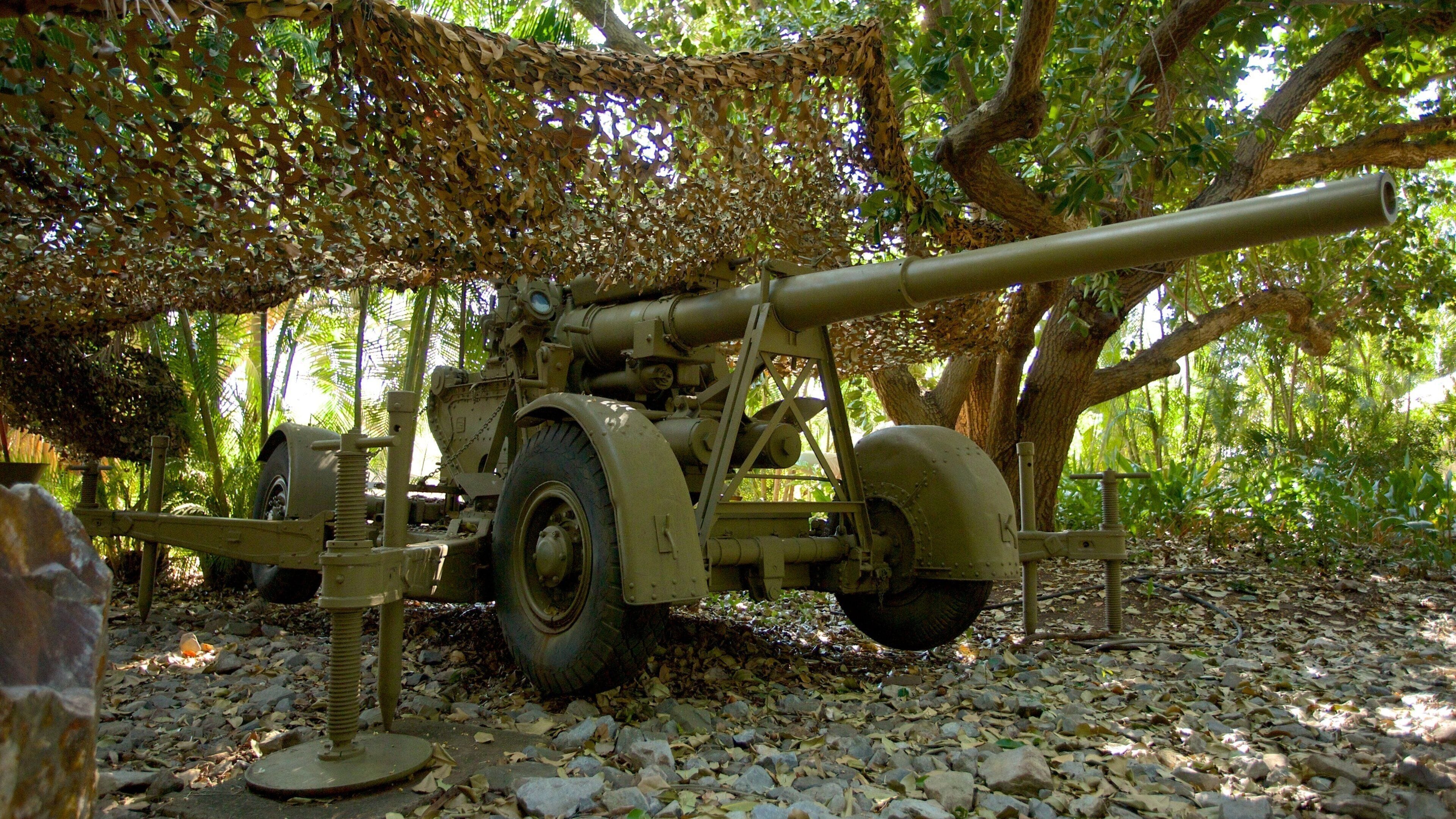 Defence Of Darwin Experience featuring art and military items