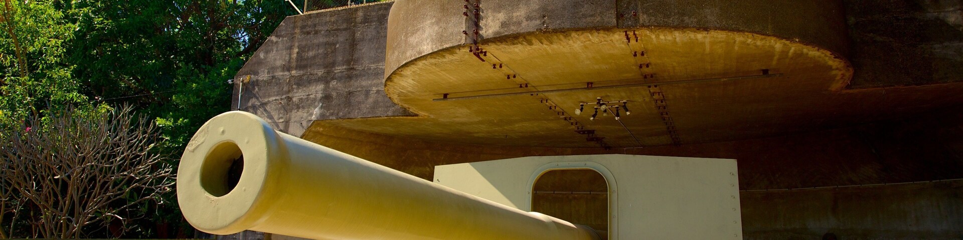 Defence Of Darwin Experience showing military items