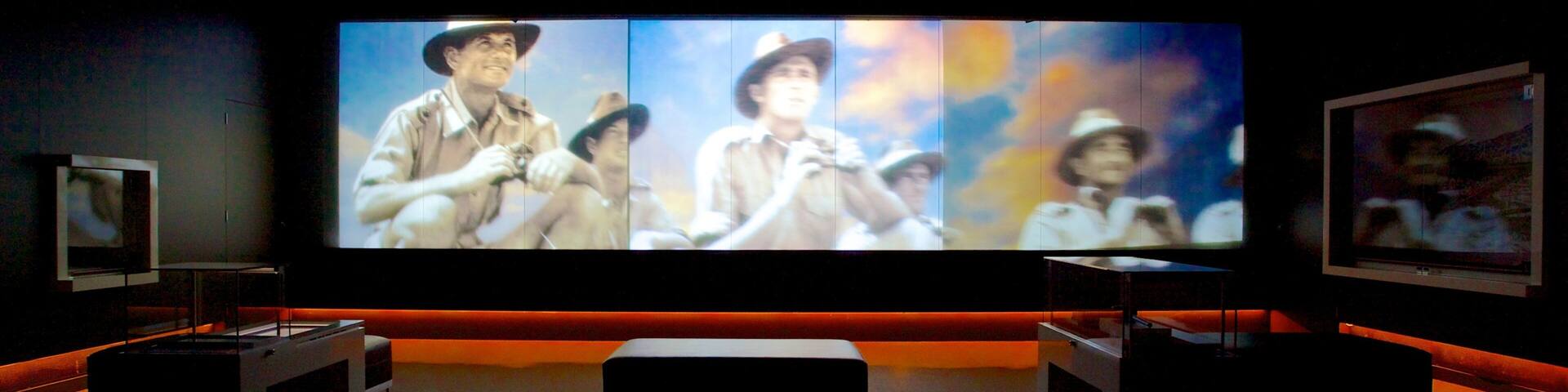 Defence Of Darwin Experience showing interior views