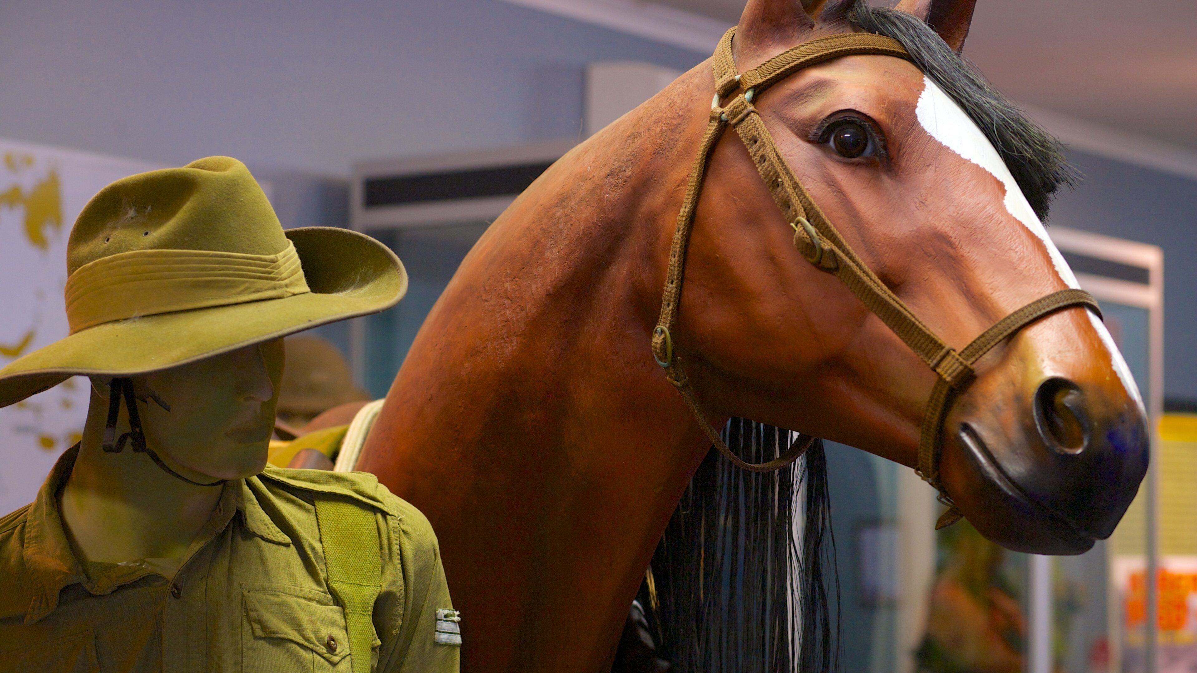 Defence Of Darwin Experience showing military items and interior views