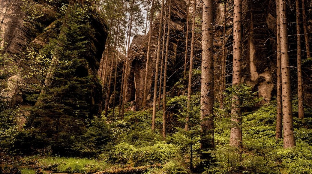 No doubt you’ve heard of Bohemian Paradise and Bohemian Switzerland, but have you heard of the Adršpach-Teplice rock towns? Despite being arguably one of the most beautiful and unique places in the Czech Republic, the Adršpach -Teplice rock towns are often overlooked in favour of the more popular Bohemian Paradise.
Located in northeast Bohemia, close to the Polish border, these incredible sandstone rock towns, one on the edge of Adršpach village, and the other closer to Teplice nad Metuji, were naturally formed thousands of years ago. Perhaps few will be aware that this was once the bottom of the ocean! When the chalk receded in these places, two groups of rock formations were left, divided by the Wolf Gorge.
You truly feel as though you are exploring an alien planet here. Walking through the massive labyrinth of rocks is a unique and memorable experience. Look up at the rock formations with a bit of imagination, and you might even be able to spot the hidden images. Look out for the “lovers”, the congregation of elephants at the elephant’s square, the lioness, the turtle, the eagle’s nest, and many more.
The area of Adršpach-Teplice rocks is accessible all year-round. The distance from Prague is around 170 km and it takes around two and a half hours to drive there.
If you don’t drive, you can take the train from Prague to Trutnov, and then from there change to another train for Teplice nad Metují. If you are heading to Adršpach first, get off the train at Adrspach station, and if you’re heading for the Teplice rocks, get off at Teplice nad Metují-skály.
The journey by train, however, take up to 4 hours. For those who don’t have a car, the best and by far the easiest way to get to the park and enjoy the day is to go with a tour group.
#czech #visitczech #instone #traveltheworld #getoutgirl #woodland #rocks #mountains #europe #hiking #climbing #woods #nature #landscape #remote #travel #europe #perspective #nature photocontest