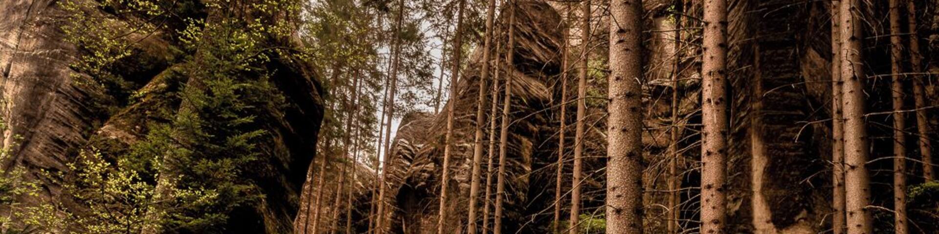 No doubt you’ve heard of Bohemian Paradise and Bohemian Switzerland, but have you heard of the Adršpach-Teplice rock towns? Despite being arguably one of the most beautiful and unique places in the Czech Republic, the Adršpach -Teplice rock towns are often overlooked in favour of the more popular Bohemian Paradise.
Located in northeast Bohemia, close to the Polish border, these incredible sandstone rock towns, one on the edge of Adršpach village, and the other closer to Teplice nad Metuji, were naturally formed thousands of years ago. Perhaps few will be aware that this was once the bottom of the ocean! When the chalk receded in these places, two groups of rock formations were left, divided by the Wolf Gorge.
You truly feel as though you are exploring an alien planet here. Walking through the massive labyrinth of rocks is a unique and memorable experience. Look up at the rock formations with a bit of imagination, and you might even be able to spot the hidden images. Look out for the “lovers”, the congregation of elephants at the elephant’s square, the lioness, the turtle, the eagle’s nest, and many more.
The area of Adršpach-Teplice rocks is accessible all year-round. The distance from Prague is around 170 km and it takes around two and a half hours to drive there.
If you don’t drive, you can take the train from Prague to Trutnov, and then from there change to another train for Teplice nad Metují. If you are heading to Adršpach first, get off the train at Adrspach station, and if you’re heading for the Teplice rocks, get off at Teplice nad Metují-skály.
The journey by train, however, take up to 4 hours. For those who don’t have a car, the best and by far the easiest way to get to the park and enjoy the day is to go with a tour group.
#czech #visitczech #instone #traveltheworld #getoutgirl #woodland #rocks #mountains #europe #hiking #climbing #woods #nature #landscape #remote #travel #europe #perspective #nature photocontest