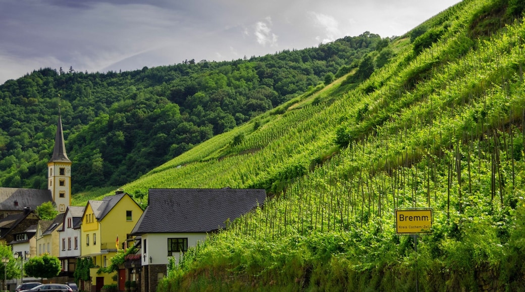 The town of Bremm, home to the vineyards of Bremmer Calmont, allegedly the steepest vineyard in Europe.