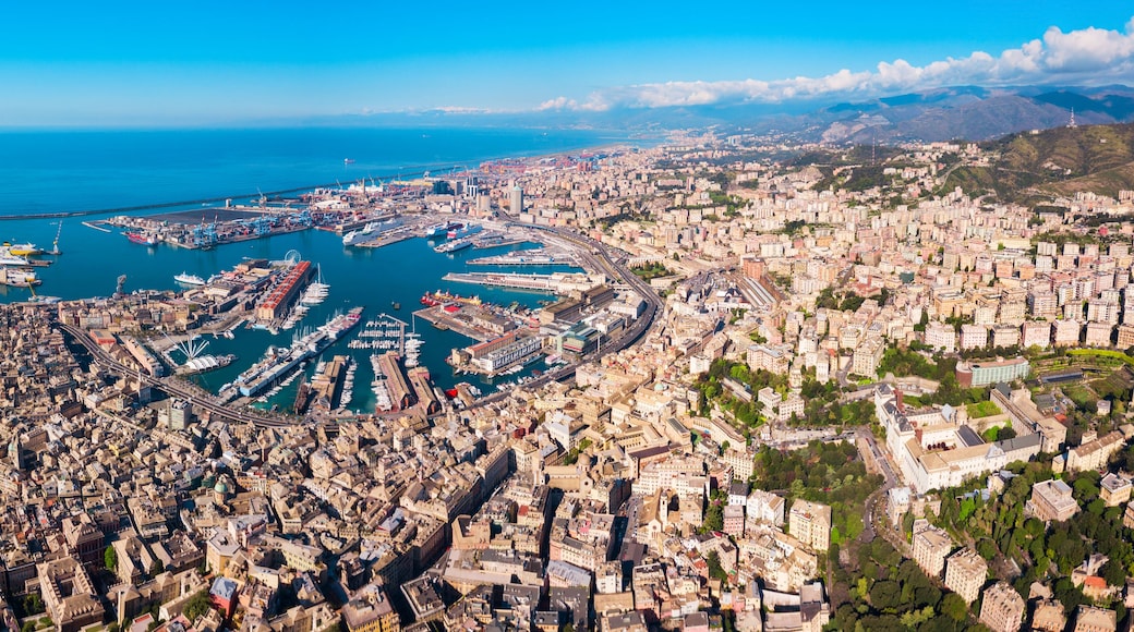 Una ciudad costera con una zona urbana densa, un puerto deportivo y montañas al fondo.