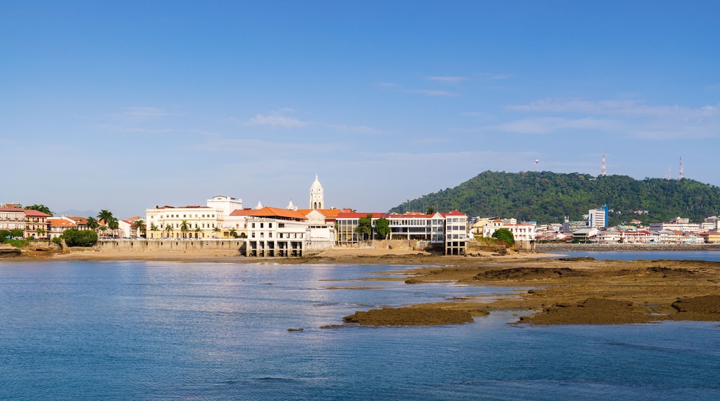 ์นด์ค์ฝ ๋น์ํธ