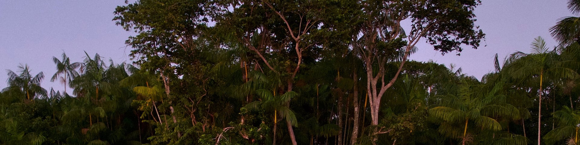 Pre-dawn photo at Ilha dos Papagaios (Parrot Island) near Belém, Brazil.