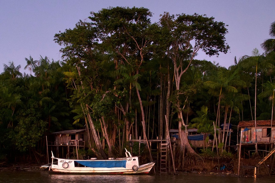 Pre-dawn photo at Ilha dos Papagaios (Parrot Island) near Belém, Brazil.