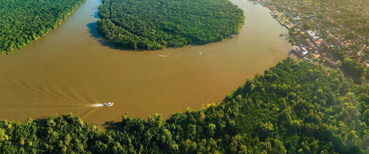 A river winding through a dense forest, with a small town on the riverbank.