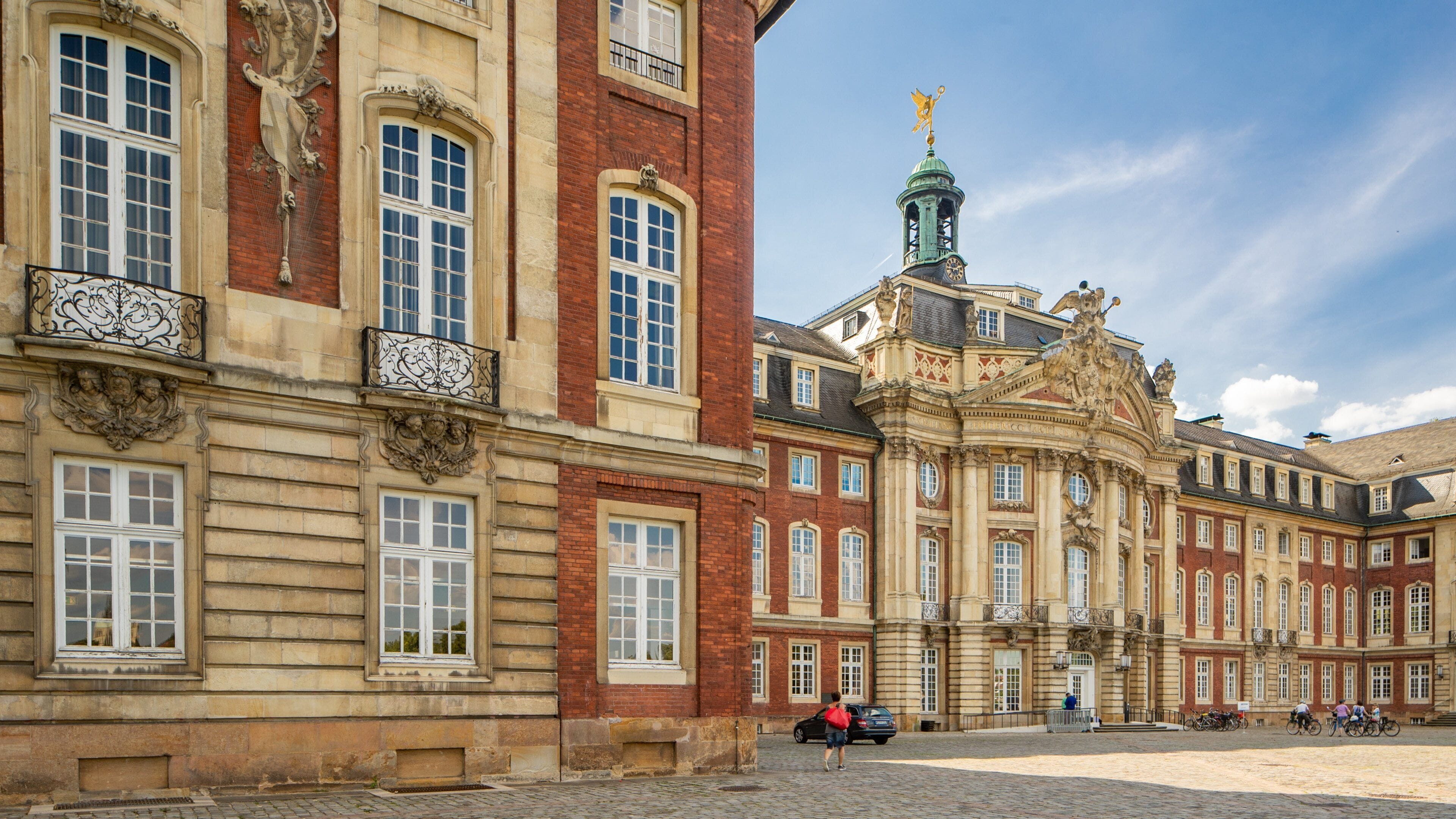 Münster Castle featuring chateau or palace and heritage architecture