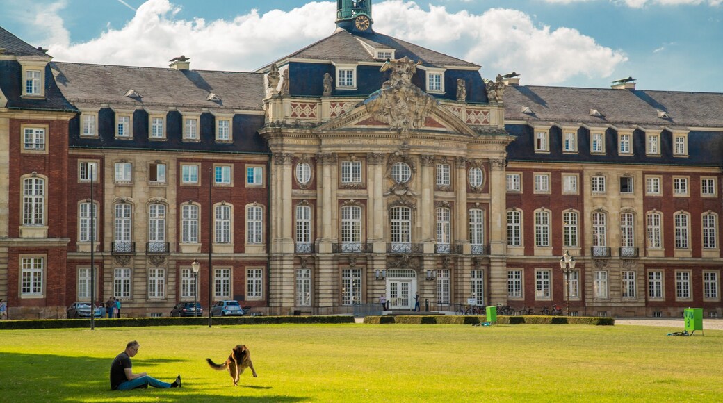 Münster Castle featuring a park, cuddly or friendly animals and chateau or palace