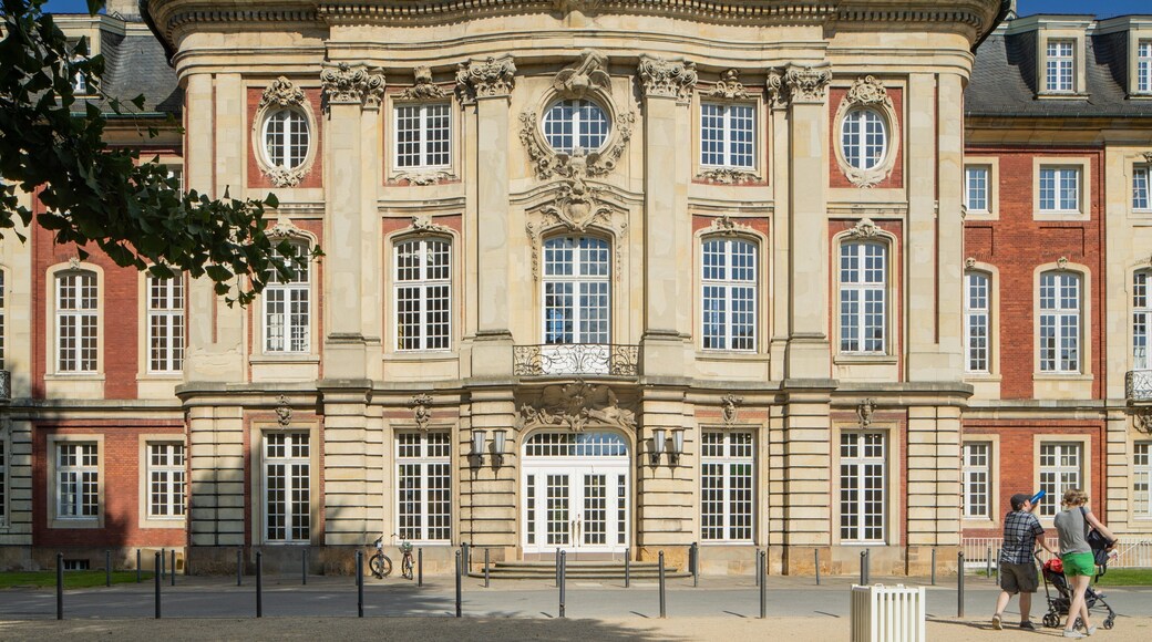Münster Castle showing chateau or palace and heritage architecture