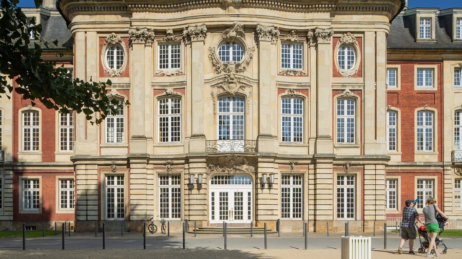 Münster Castle showing chateau or palace and heritage architecture