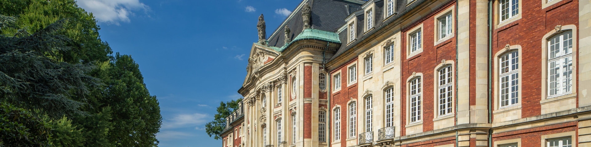Münster Castle featuring chateau or palace and heritage architecture