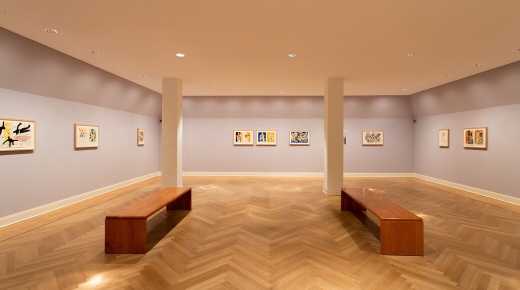 Picasso Museum featuring interior views and art