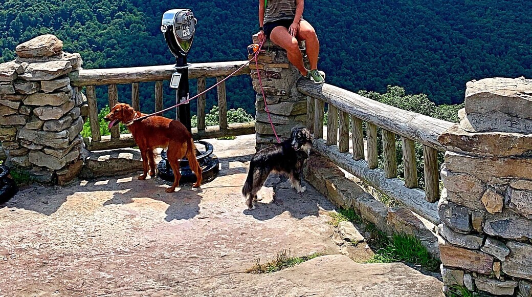 Fun for all ages. Short hike to the lookout.