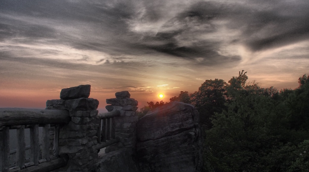 #hiking
#weekendgetaway
#likealocal
#nature
#LocalSecrets
#Trovember #hiddengem
I am so very lucky to live nearby beautiful Coopers Rock! It's the perfect place to go for nice, scenic hikes if you are spending time in Morgantown. Later in the evening, take a short hike from the parking area and you will find one of the prettiest sunset views in the state!
#Morgantown #WestVirginia #ReDiscover