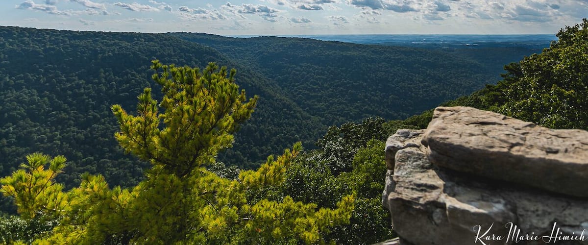 All about the views
#westvirginia #scenicviews #landscapes #stateparks #mountains
