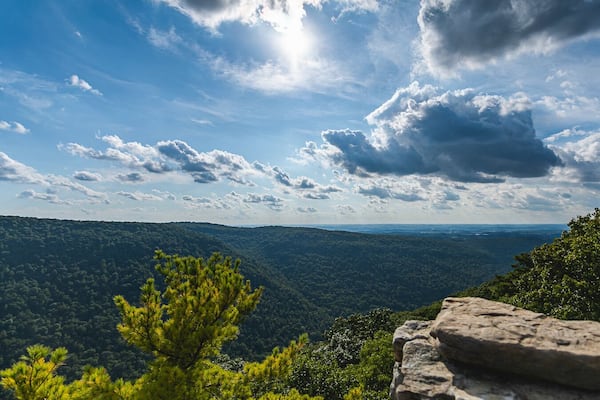 All about the views
#westvirginia #scenicviews #landscapes #stateparks #mountains