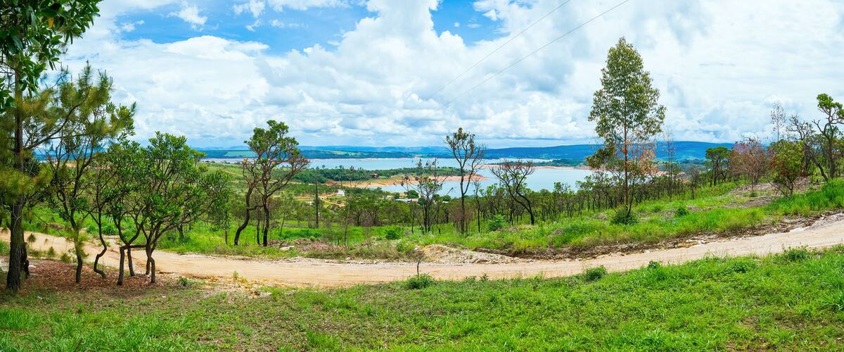 A dirt road winding through a lush green landscape with trees and a distant view of a lake and mountains.