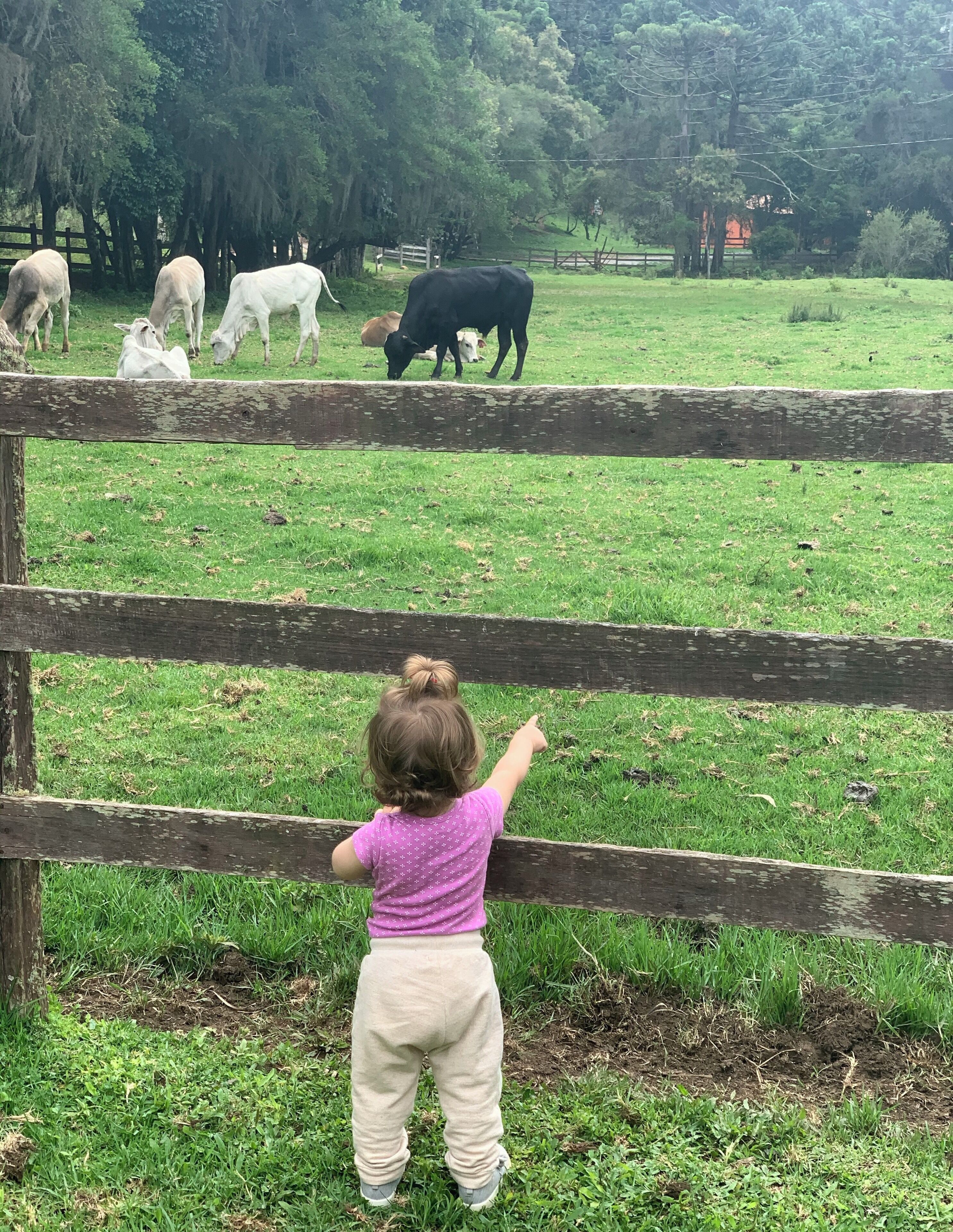 My little daughter on vacation at country side.