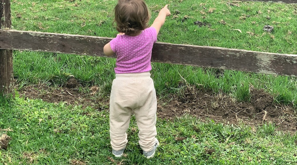 My little daughter on vacation at country side.