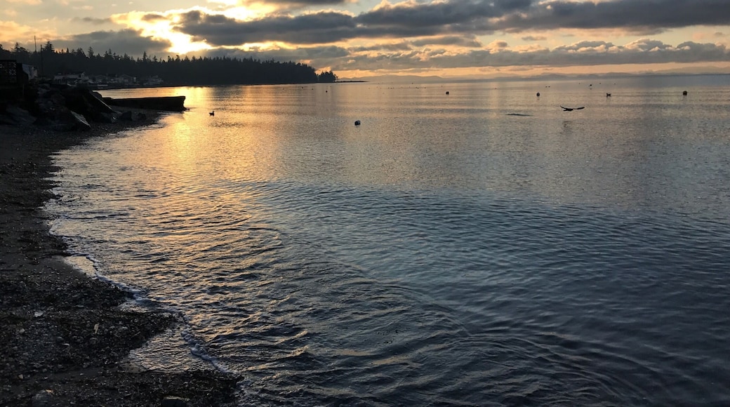 Great place to watch migrating birds and enjoy sunsets year round.