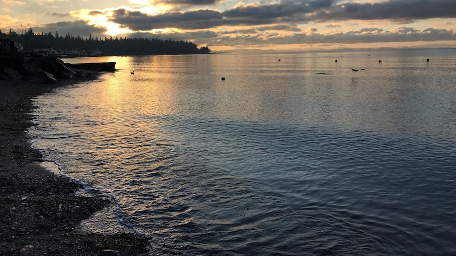 Great place to watch migrating birds and enjoy sunsets year round.