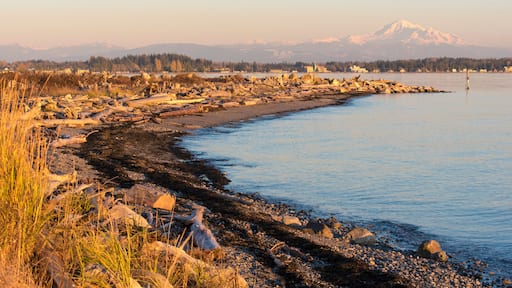 USA, Washington State. Birch Bay with Mount Baker and North Cascades