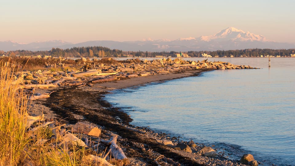 A rocky shoreline with a calm body of water, a distant snow-capped mountain, and a clear sky.