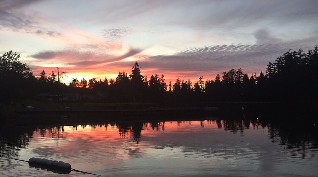 I gotta say between the beautiful trees of and it’s stunning sunsets just above the water, Washington definitely has my heart!