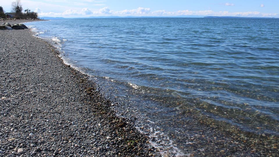 A pebbly beach with calm water, distant mountains, and a clear sky.