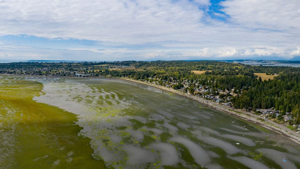 A coastal town with a bay, a road along the shore, and a forested area in the background.