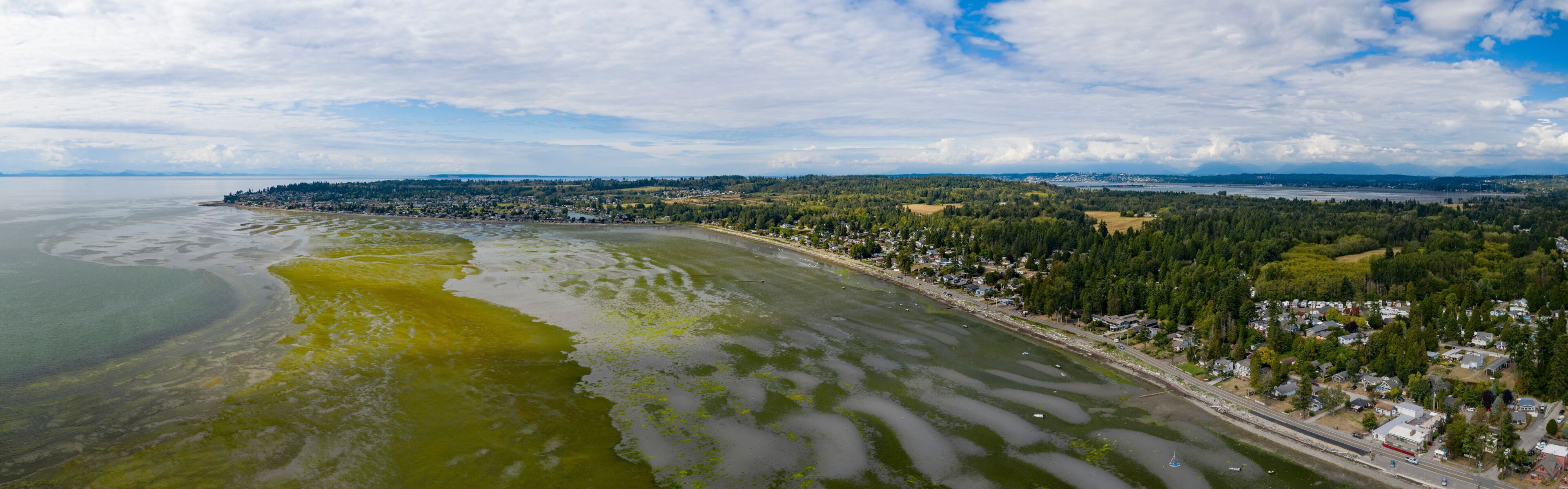 A coastal town with a bay, a road along the shore, and a forested area in the background.