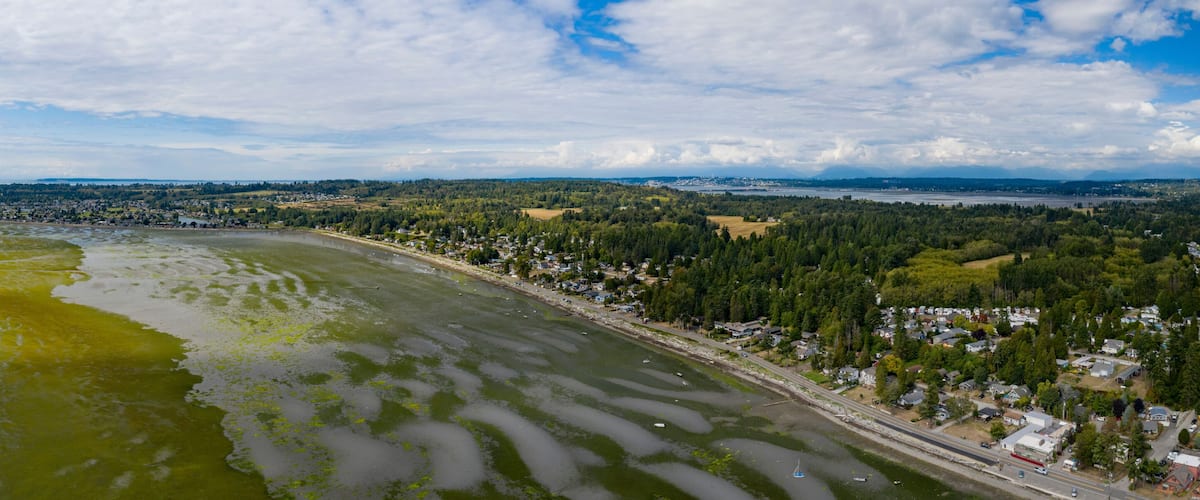 A coastal town with a bay, a road along the shore, and a forested area in the background.