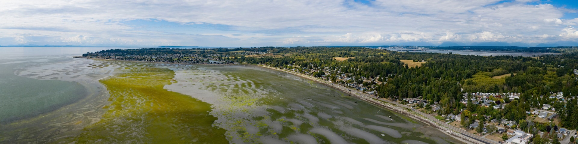 A coastal town with a bay, a road along the shore, and a forested area in the background.