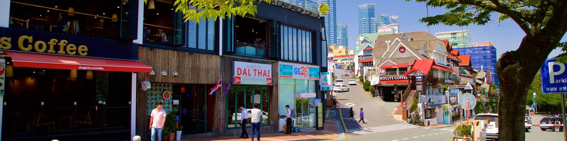 Dalmaji Hill which includes a city