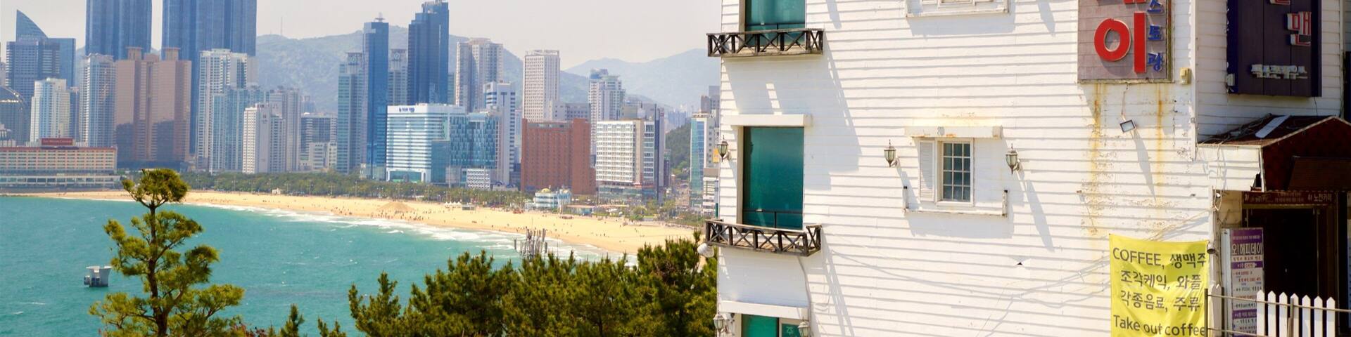 Un paisaje urbano costero con una playa, un edificio blanco con señalización y un horizonte de edificios altos.
