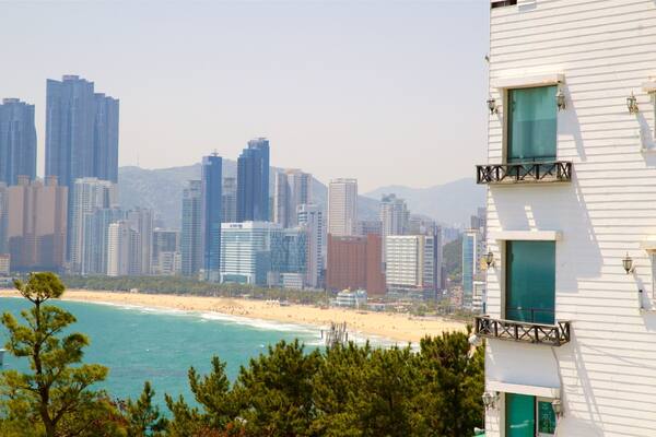 Dalmaji Hill showing a beach, a city and a skyscraper