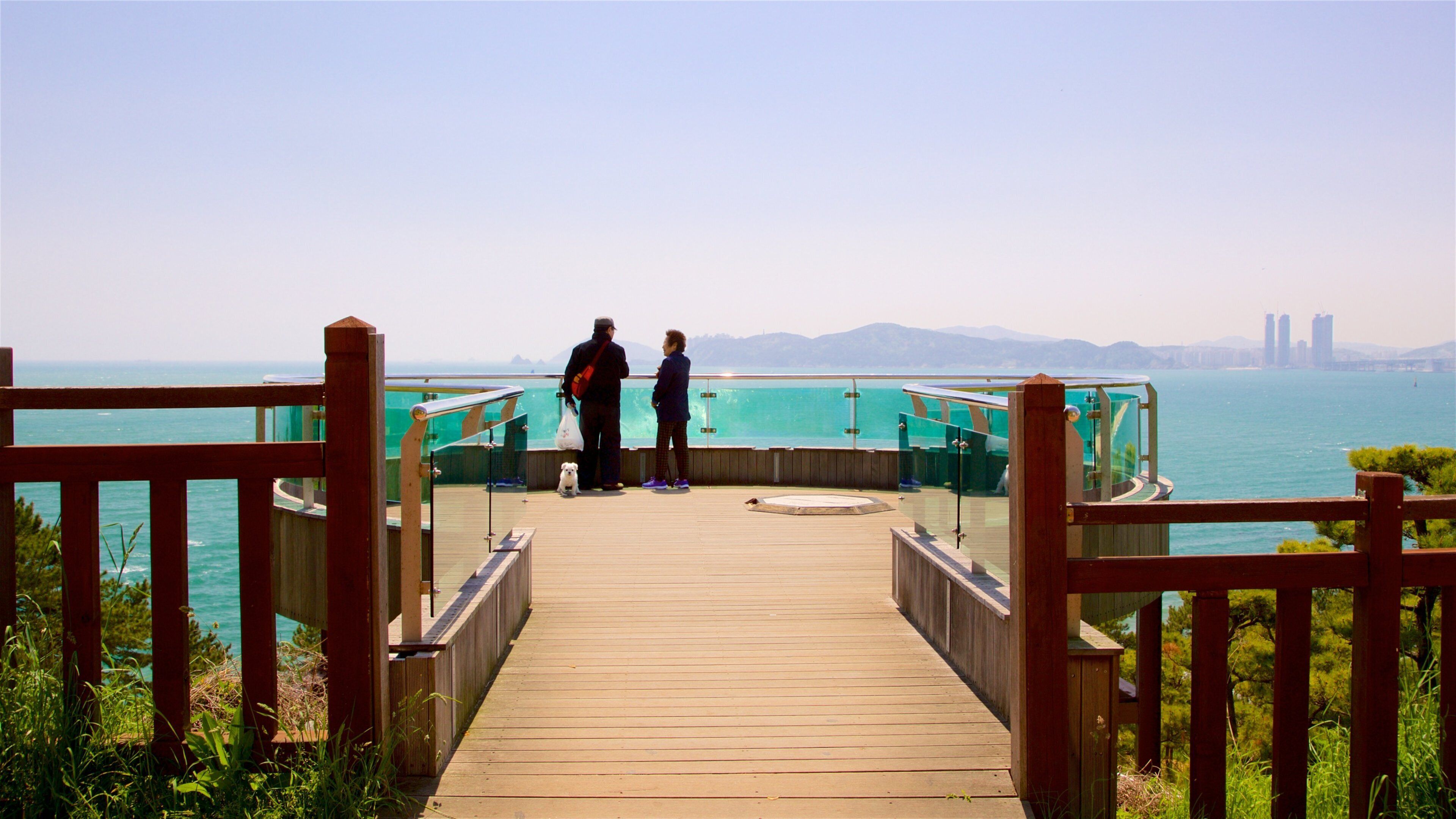 Dalmaji Hill showing views and general coastal views as well as a couple