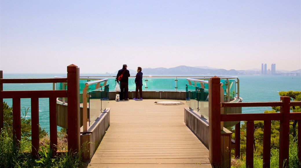 Dalmaji Hill showing views and general coastal views as well as a couple