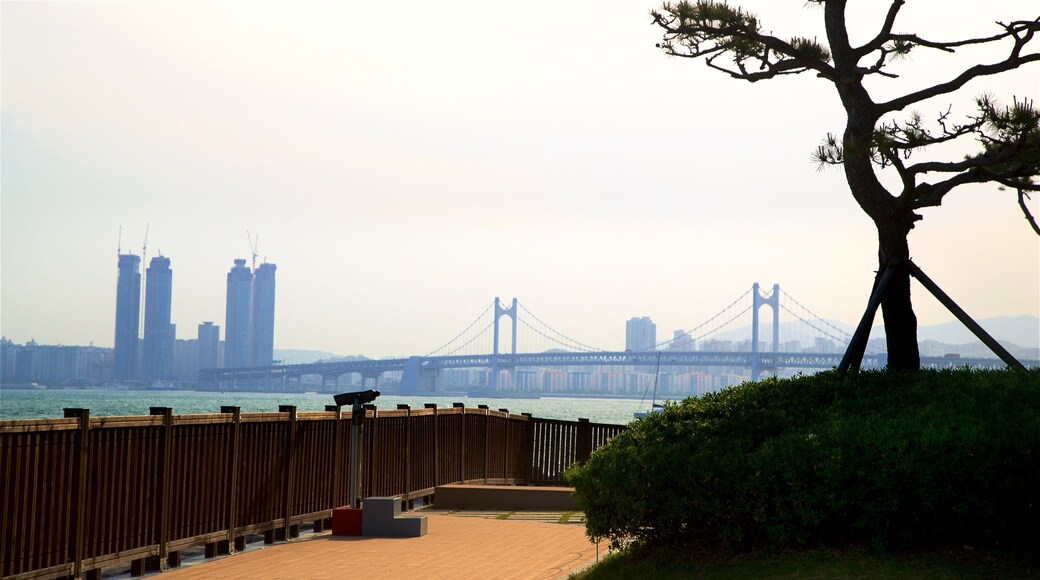 APEC Naru Park showing a city, views and a bridge