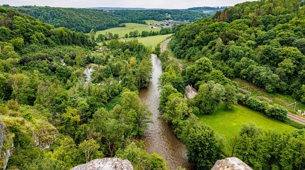 Valley with abundant green leafy trees and Ourthe river with abundant water slightly overflowing, mountains with horizon in background, seen from Logne castle, cloudy day in Ferrieres, Belgium