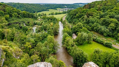 A river winding through a lush valley with dense forests on either side.