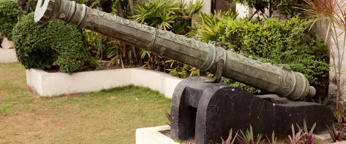 Isla de Cebú mostrando artículos militares y un jardín