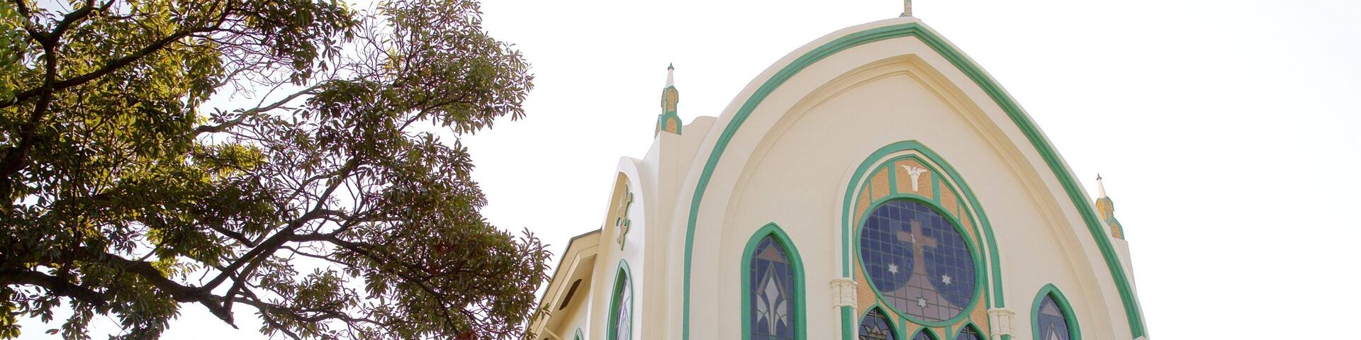 Carmelite Monastery showing heritage architecture and religious aspects