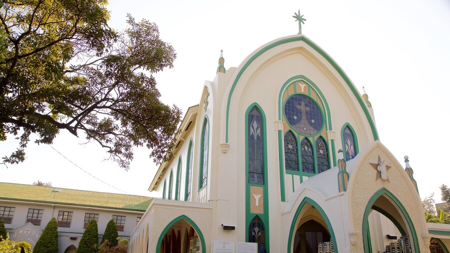 Monasterio de las Carmelitas que incluye elementos religiosos y arquitectura patrimonial
