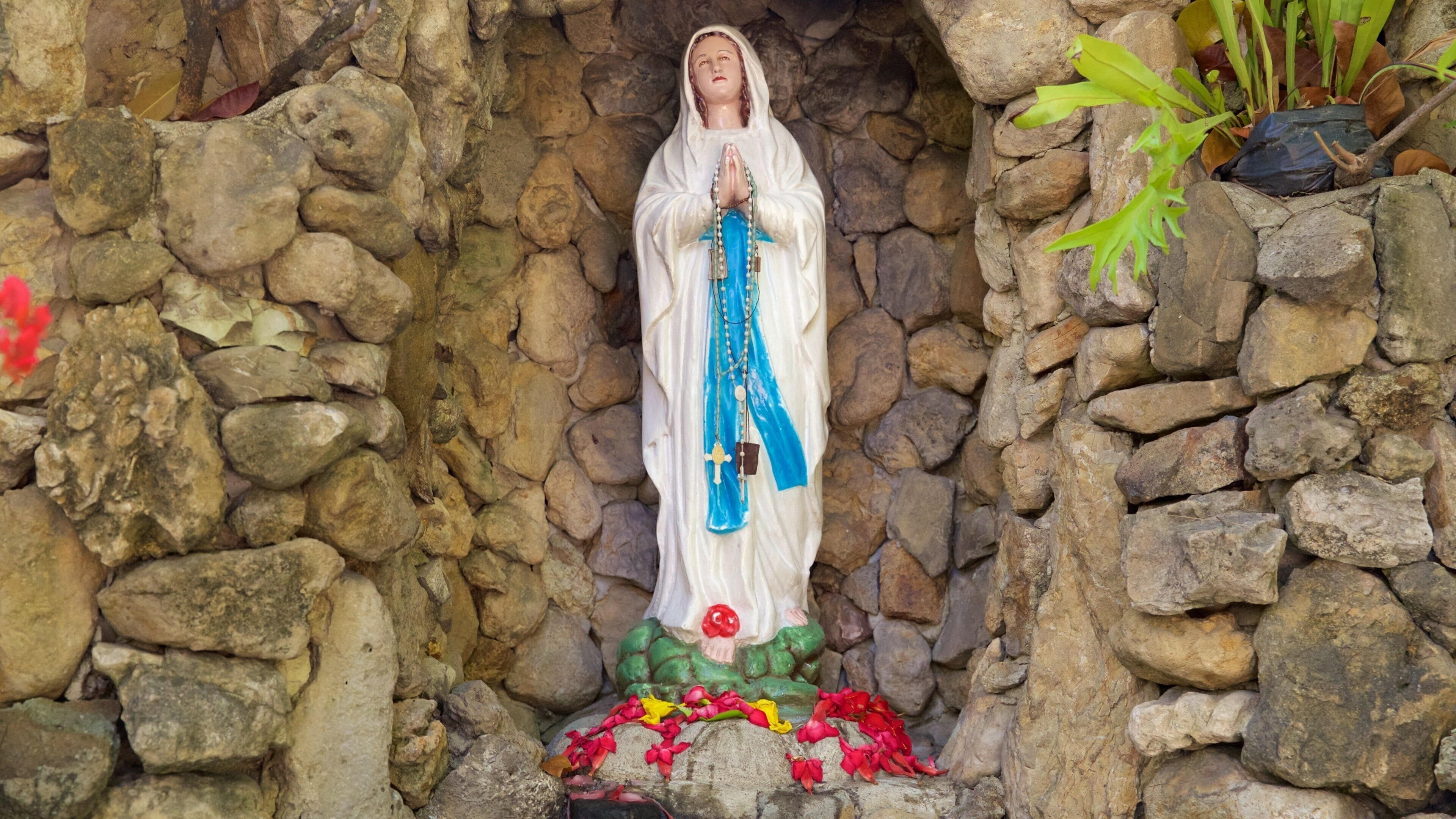 Carmelite Monastery showing a statue or sculpture