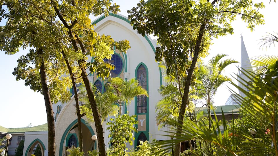 Carmelite Monastery which includes a garden, religious aspects and heritage architecture
